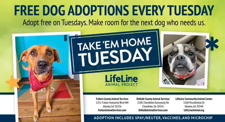 Take 'Em Home Tuesday at LifeLine Animal Project