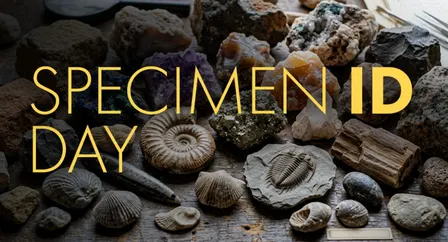 Specimen ID Day