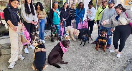 Barks & Bites: Beltline Doggie Crawl