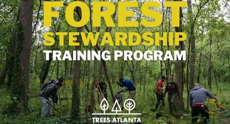 Trees Atlanta Forest Stewardship Training 2026