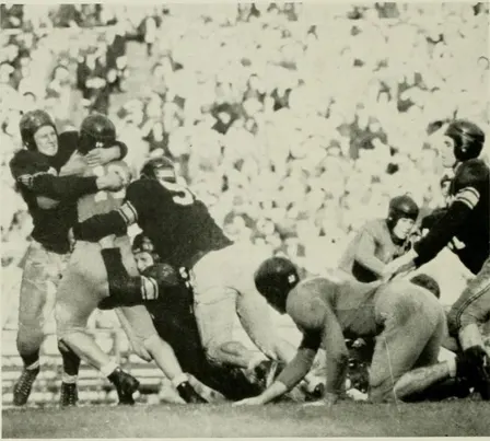 Clemson Tigers at California Golden Bears