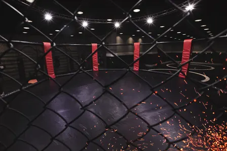UFC 335 - Oliveira vs Lopes