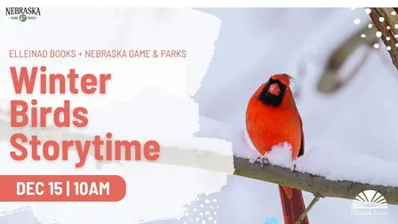 Elleinad Books presents Winter Birds Storytime