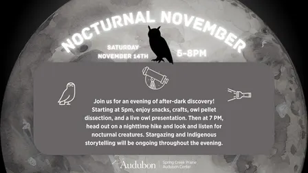 Nocturnal November