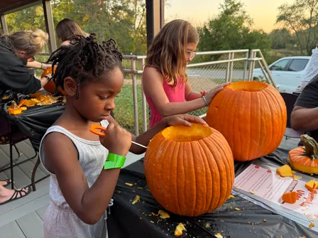 S'mores & Gourds