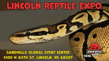 Show Me Reptile & Exotics Show