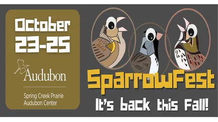 SparrowFest 2026