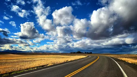 Writing with Larksong: Bridging the Miles - Online Program
