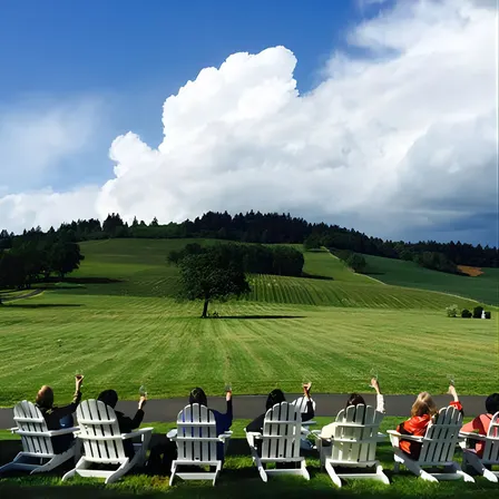 Small Group: Willamette Valley Wine Tour From Portland (Tasting Fees Included)