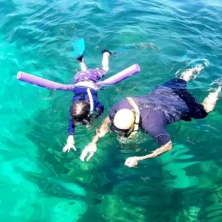 Biscayne Bay: Guided Snorkeling Adventure from South Beach