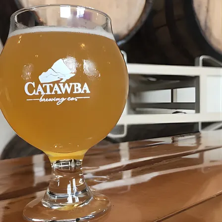 Downtown Asheville Guided Brewery Walking Tour