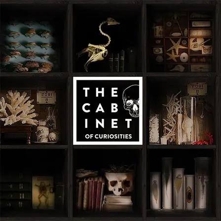 Mixology Masterclass Las Vegas | Cocktail Making Class at The Cabinet of Curiosities