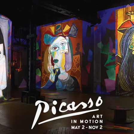 Picasso: Art In Motion | Group Booking (Groups of 10-50)