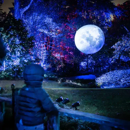 Lightscape at San Diego Botanic Garden