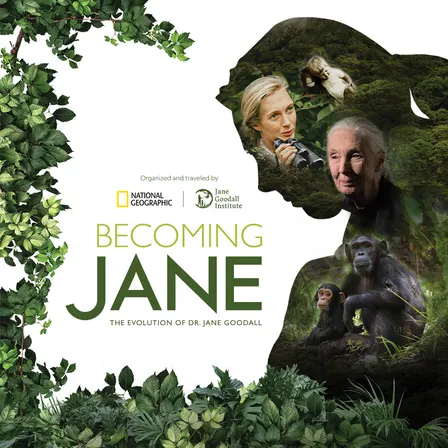 Becoming Jane
