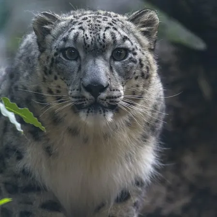 San Diego Zoo
