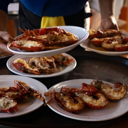 Premium Valle de Guadalupe Wine and Food Tour
