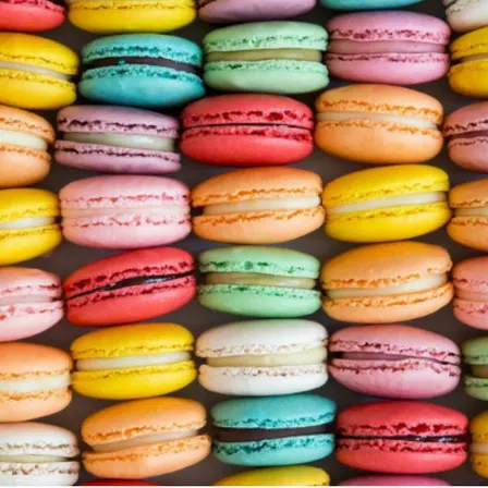 Classic French Macarons - Tampa