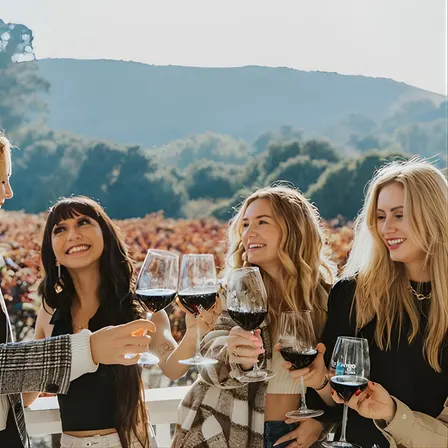 The Ultimate Napa and Sonoma Wine Tour