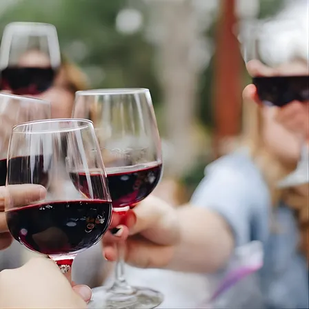 North Georgia Wine Country Tour from Atlanta