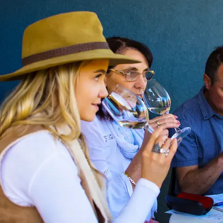 From Manhattan: Escape the City and Taste the Wines of Long Island (#1 Rated!)