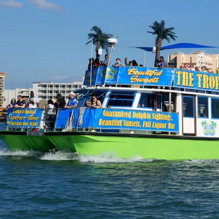 Clearwater: Guided Dolphin Exploration Cruise
