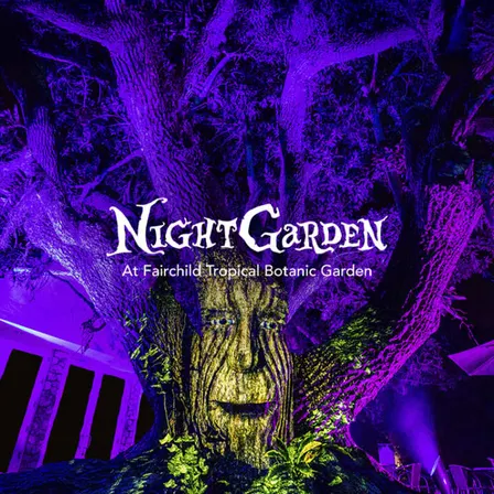 NightGarden 2026