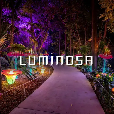 Luminosa 2026 — Miami, Reimagined in Light
