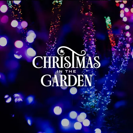 Christmas in the Garden