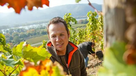 Fokus: Rotwein in CHARLOTTENBURG (mit Brotzeit)