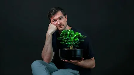 Patrick Haunberg: Pengetræ