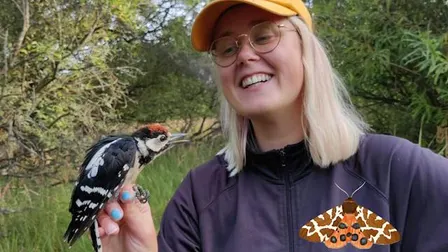 Dyr i natten med Marie Rubæk Holm