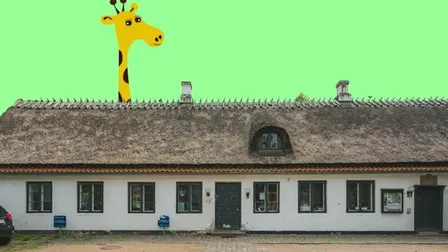 BioGIRAFFEN - tumlingebio