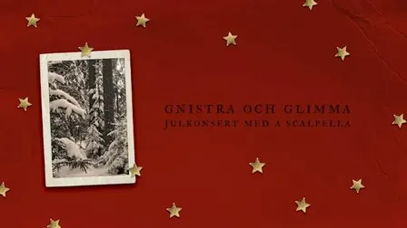 Gnistra och glimma - Julkonsert med A Scalpella