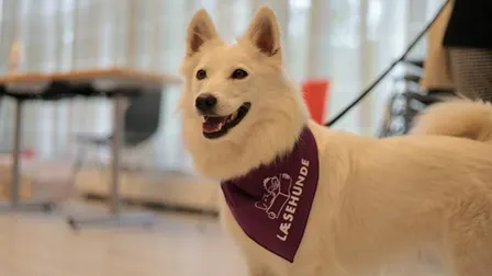 Certificering i Læsehunde Ringe Bibliotek