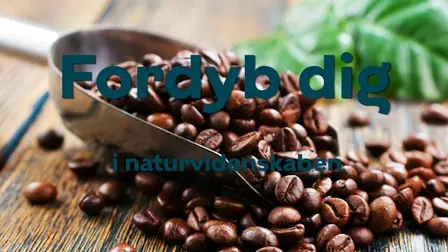 Fordyb dig i naturvidenskab - Kaffe