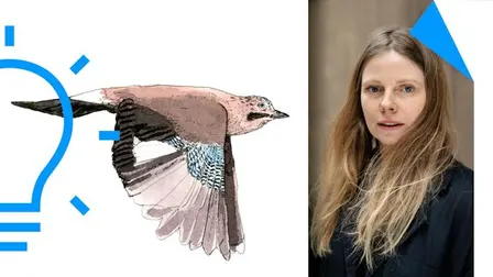 Tegn fugle med Signe Parkins - EKSTRA