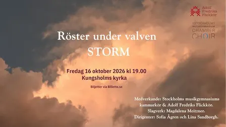 Röster under valven - STORM