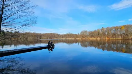 Bidstrup Skovene og Skjoldenæsholm