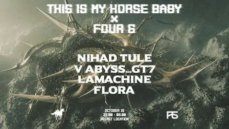 FOUR6 x THIS IS MY HORSE BABY