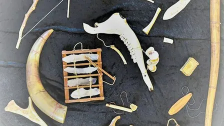 Musikalisk visning