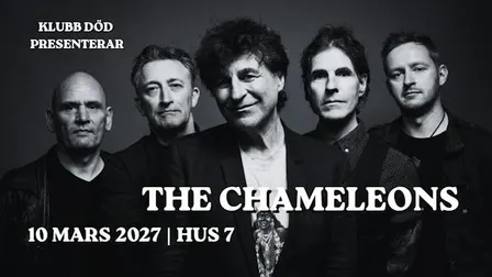The Chameleons | Hus 7