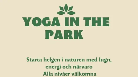 Yoga in the Park