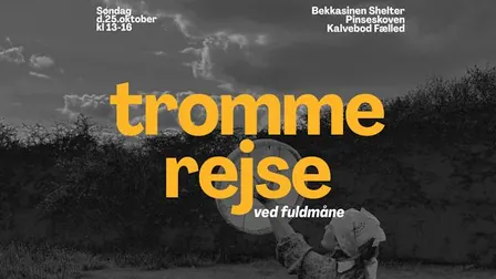 Trommerejse i Pinseskoven ved Fuldmåne