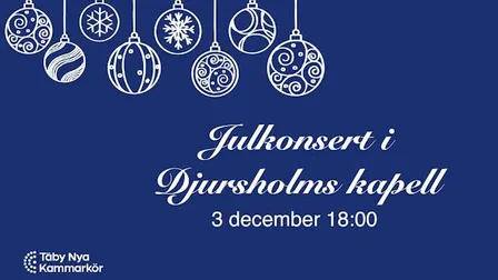 Julkonsert 2026