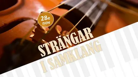 Kammarkonsert: Strängar i Samklang