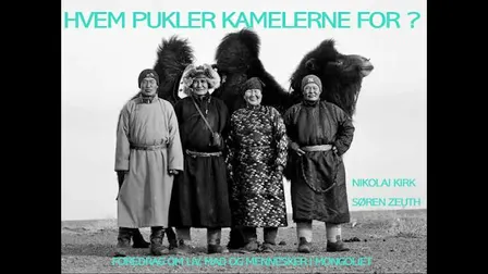 Hvem pukler kamelerne for?