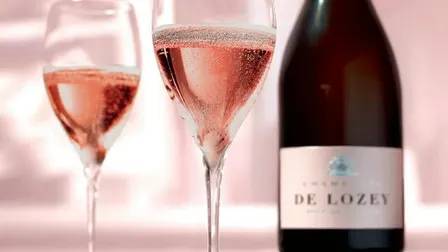 ✨ En eksklusiv champagneoplevelse – De Lozey fra Côte des Bar i København✨