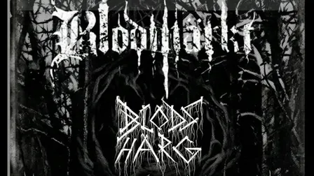 Belsepub: Blodmärkt & Blodsharg
