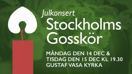 Julkonsert med Stockholms Gosskör